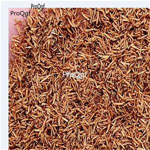 19usd ngryise 500pcs Leucospermum seed