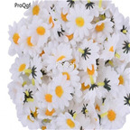 19usd ngryise 6000pcs Gerbera Daisy heixin seed