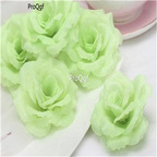 19usd Ngryise 2000Pcs A Set rare rose seed