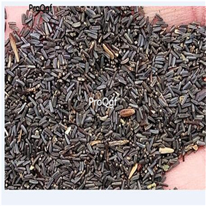 19usd Ngryise 6000Pcs A Set ball  Chrysanthemum heixin seed