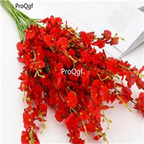 19usd ngryise 2000pcs Dancing Lady Orchid seed
