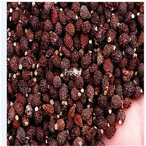 19usd ngryise 2000pcs Dancing Lady Orchid seed