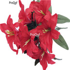19usd Ngryise 30Pcs A Set lily flower bulb