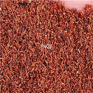 19usd ngryise 3000pcs Vine Willow seed