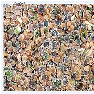 19usd Ngryise 6000Pcs A Set wall hanging violet seed