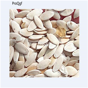 19usd Ngryise 2000Pcs A Set sausage cucumber seed