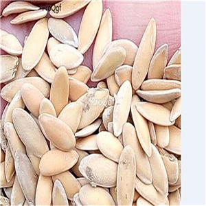 19usd Ngryise 2000Pcs A Set sweet melon seed