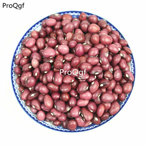 16usd Ngryise 500Pcs A Set  red Phaseolus vulgaris  seed
