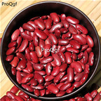 16usd Ngryise 500Pcs A Set  dark red Phaseolus vulgaris seed