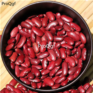 16usd Ngryise 500Pcs A Set  dark red Phaseolus vulgaris seed