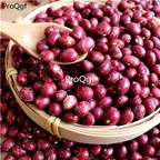 16usd Ngryise 500Pcs A Set  dark red  Phaseolus coccineus jinsidou seed