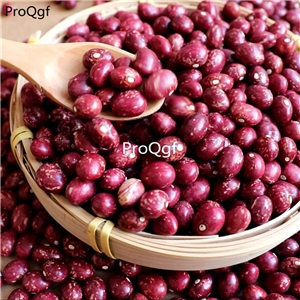 16usd Ngryise 500Pcs A Set  dark red  Phaseolus coccineus jinsidou seed