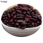 16usd Ngryise 500Pcs A Set purple Kidney Bean seed