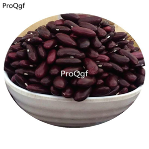 16usd Ngryise 500Pcs A Set purple Kidney Bean seed