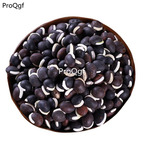 16usd Ngryise 500Pcs A Set yangyandou hei Lablab purpureus seed