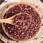 16usd ngryise 500pcs Vigna umbellata  seed
