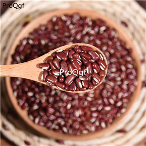 16usd ngryise 500pcs Vigna umbellata  seed