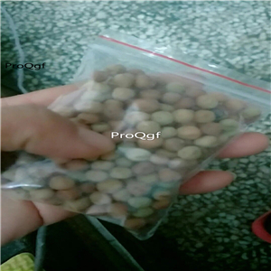 16usd Ngryise 200Pcs A Set Sugar snap peas seed