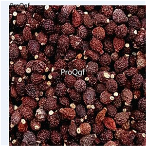 19usd ngryise 500pcs dancing lady orchid  seed