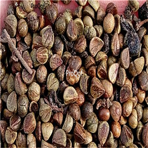 19usd Ngryise 2000Pcs A Set boston Ivy Vine  seed