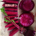 15usd Prodgf  3000Pcs A Set Raphanus sativus  seed