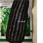 19usd Prodgf  200Pcs A Set black corn seed