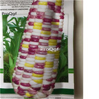 19usd Prodgf  200Pcs A Set colorful corn seed