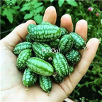 19usd Prodgf  200Pcs A Set mini watermelon seed