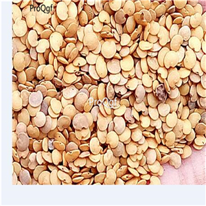19usd Prodgf  5000Pcs A Set purple long eggplant seed