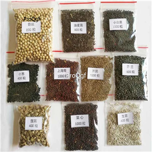 19usd Prodgf  5000Pcs A Set random 10 species vegetable seed