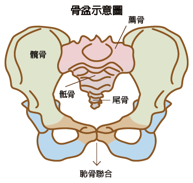 欧亚迪斯 女性整体健康服务平台 欧亚迪斯 女性整体健康服务平台