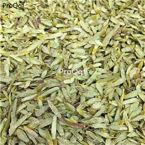 19usd Prodgf 50Gram A Set Dendrobium dry pieces