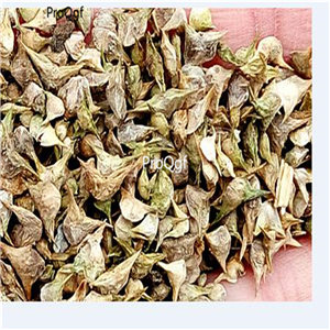 19usd Ngryise 5000Pcs A Set spinach seed
