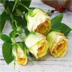 16usd Ngryise 2000Pcs A Set holiday rose seed