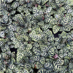 29usd Ngryise 3pcs Set Calathea makoyana plant