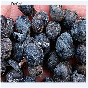 19usd Ngryise 50pcs a set African Baobab seed