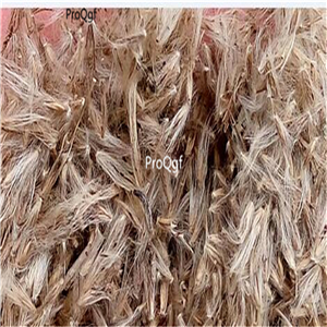 16usd Ngryise 50000Pcs A Set  Pampas seed