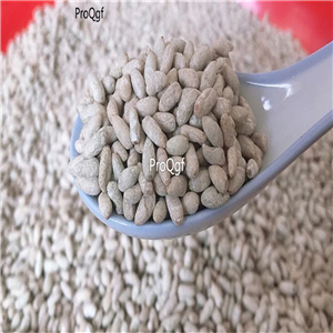 19usd Ngryise 500Pcs A Set cotton tree seed