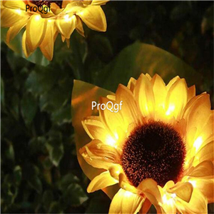 19usd Ngryise 2000Pcs A Set gold sunflower seed