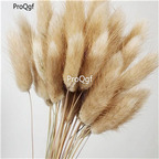 19usd Ngryise 8000Pcs A Set Lagurus Ovatus  Rabbit Tail Grass  seed