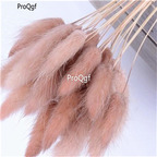 19usd Ngryise hot 8000Pcs A Set Lagurus Ovatus  Rabbit Tail Grass