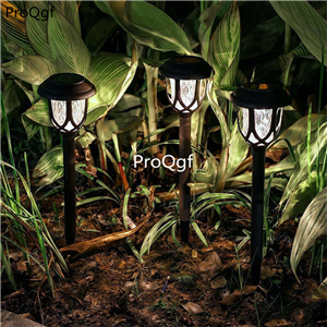 19usd Ngryise 1pcs a set solar creative grass lawn led light minshuku