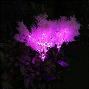 19usd Ngryise 1pcs a set pampas feel grass use light