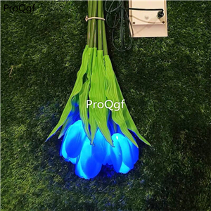 39usd Ngryise 3pcs a set tulip shape lawn grass use light