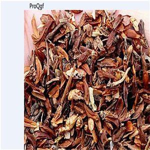 19usd Ngryise 2000Pcs A Set   Forsythia suspensa  seed