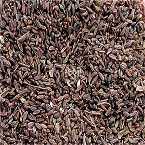 19usd ngryise 3000pcs Bupleurum marginatum seed
