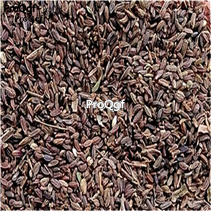 19usd ngryise 3000pcs Bupleurum commelynoideum seed
