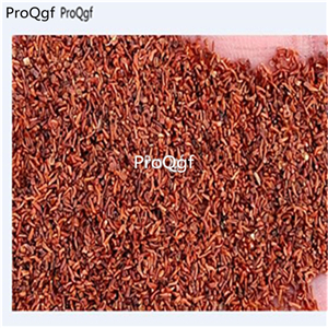 19usd ngryise 30000pcs Eucalyptus regnans  seed