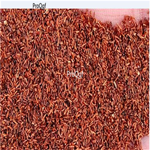 19usd Ngryise 30000Pcs A Set   Eucalyptus polyanthemos Schauer  seed