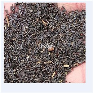 19usd Ngryise 8000Pcs A Set Helichrysum strawflower seed